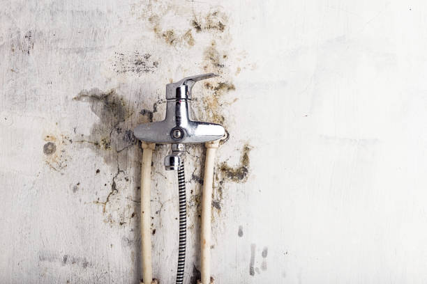 Best Localized Mold Remediation (e.g., coastal areas, humid climates) in Port Ewen, NY
