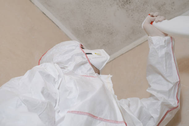 Best Mold Testing and Inspection Services in Port Ewen, NY